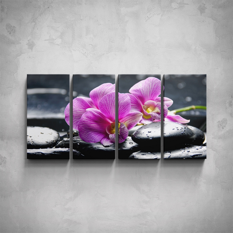 Obrazy - 4-dílný obraz - Květy orchidejí