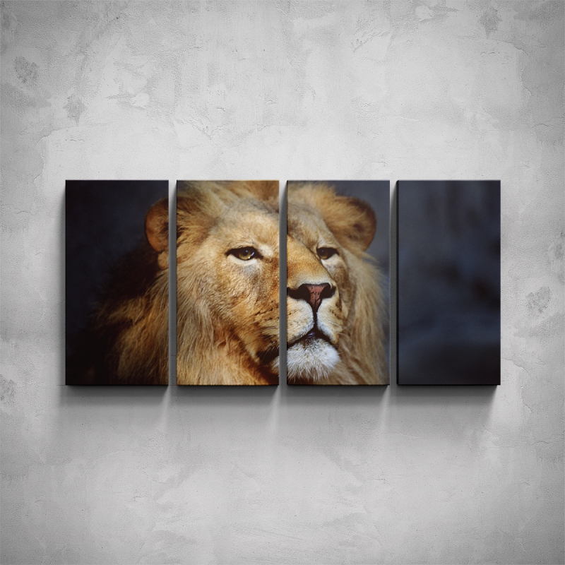 Obrazy - 4-dílný obraz - Hlava lva