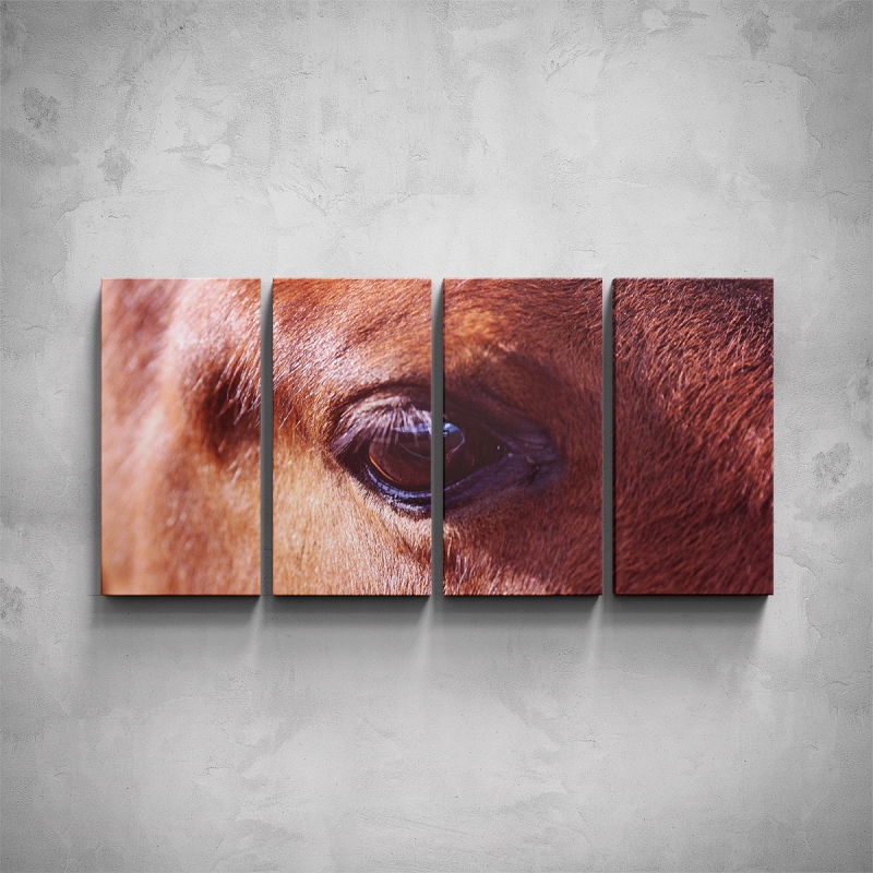 Obrazy - 4-dílný obraz - Oko koně