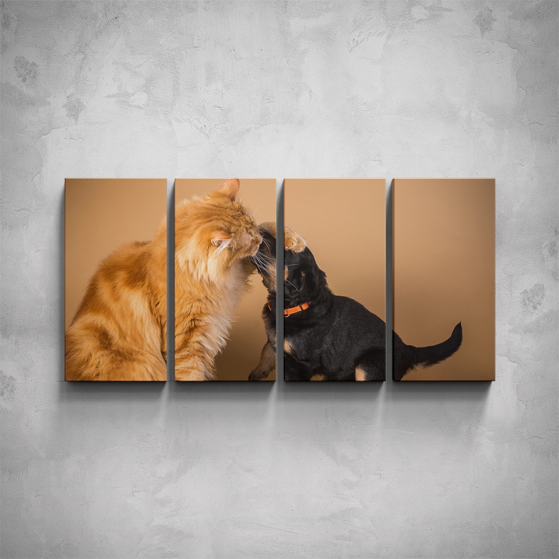 Obrazy - 4-dílný obraz - Kočka a štěně