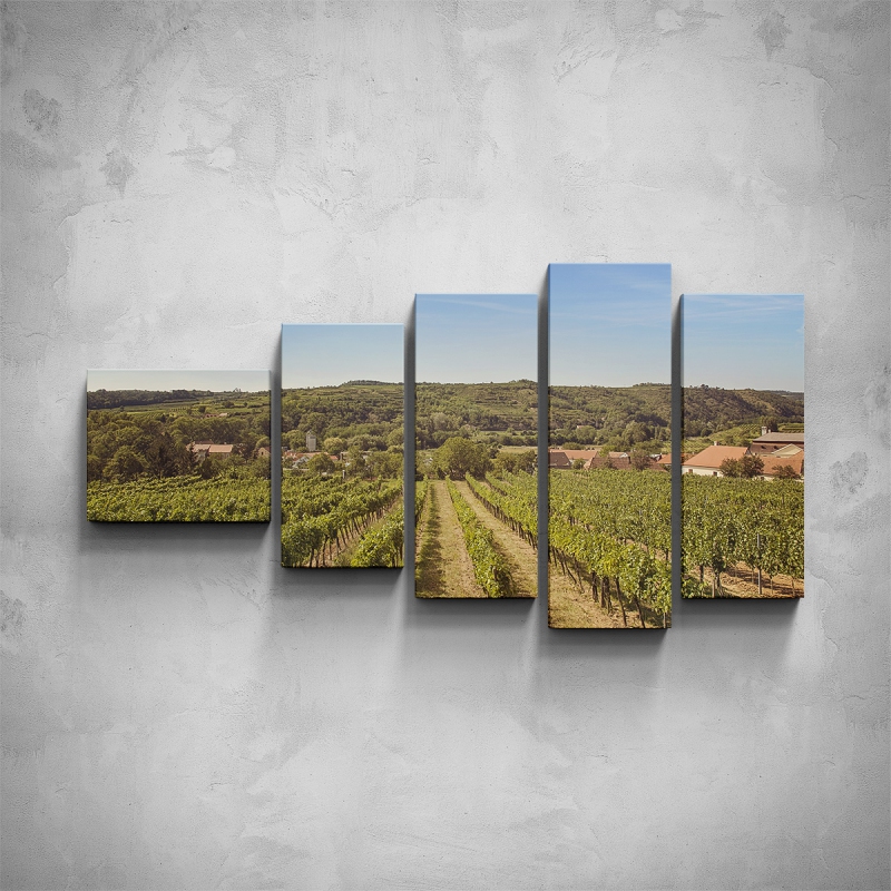 Obrazy - 5-dílný obraz - Pohled na vinici