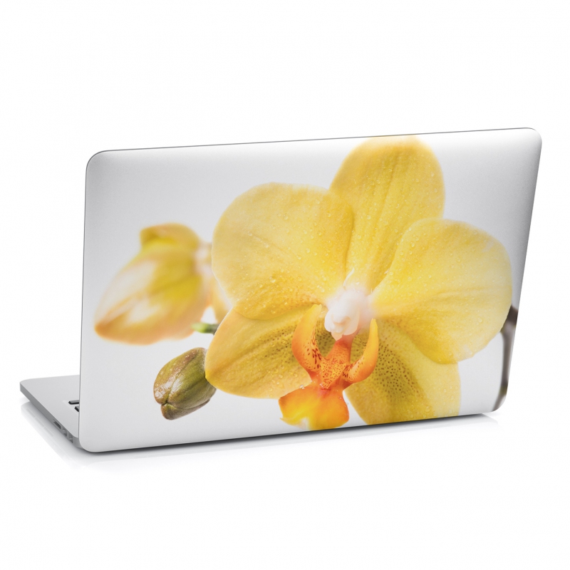 Samolepky na notebook - Samolepka na notebook - Žlutá orchidej