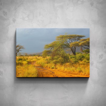 Obraz - Cesta v Safari