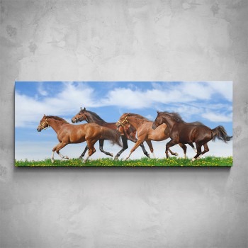 Obraz - Stádo koní