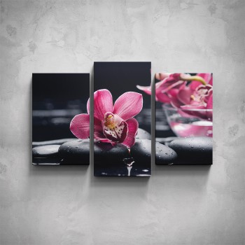 3-dílný obraz - Růžová orchidea