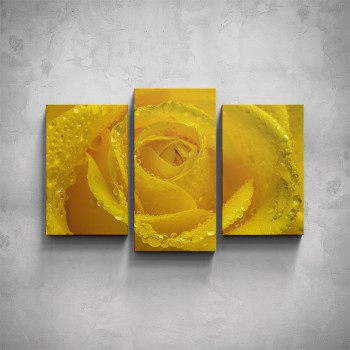 3-dílný obraz - Žlutá růže