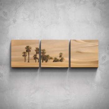 3-dílný obraz - Oáza na poušti