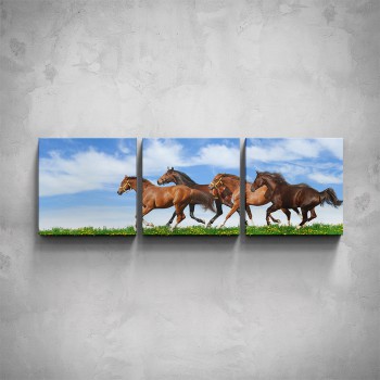 3-dílný obraz - Stádo koní