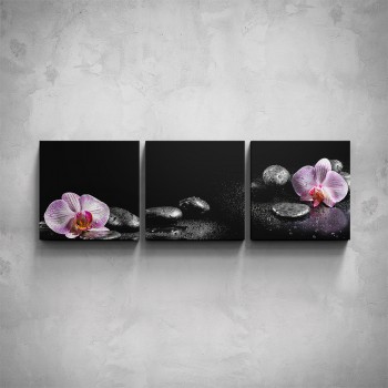 3-dílný obraz - Orchidej v černé