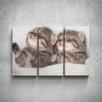 3-dílný obraz - Spící koťátka