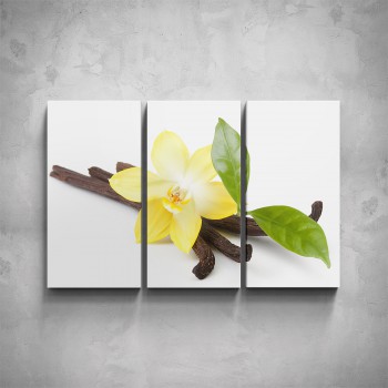 3-dílný obraz - Květ vanilky
