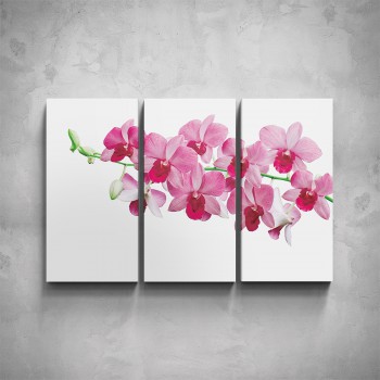3-dílný obraz - Růžová orchidej