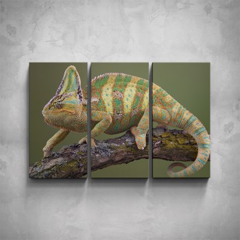 3-dílný obraz - Chameleon