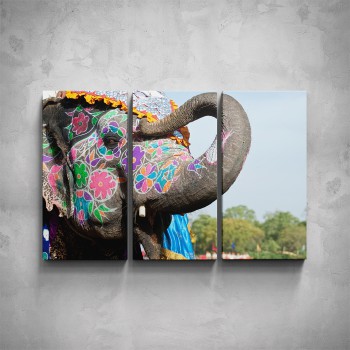 3-dílný obraz - Hlava slona