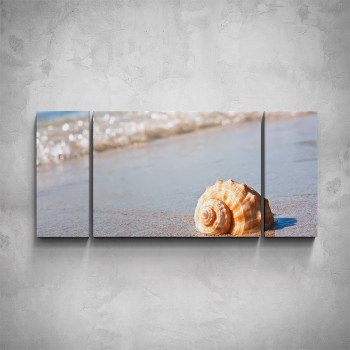 3-dílný obraz - Mušle na pláži