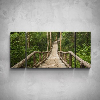 3-dílný obraz - Most v pralese