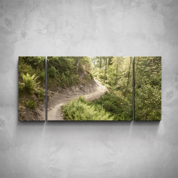 3-dílný obraz - Cesta v lese