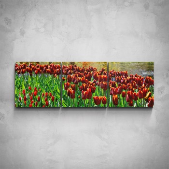3-dílný obraz - Červené tulipány