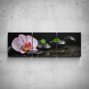 3-dílný obraz - Růžový květ orchideje