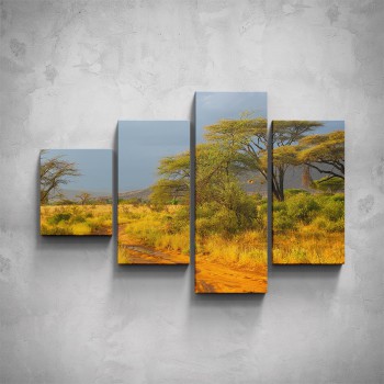 4-dílný obraz - Africká příroda