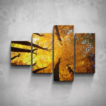 4-dílný obraz - Podzimní koruny stromů