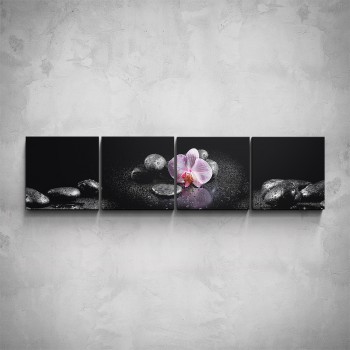 4-dílný obraz - Růžová orchidej na černé