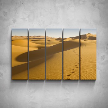 5-dílný obraz - Stopy na poušti