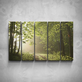 5-dílný obraz - Cesta z lesa
