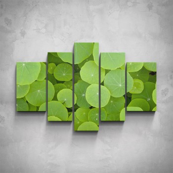 5-dílný obraz - Zelené listy