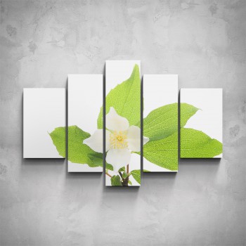 5-dílný obraz - Bílý květ