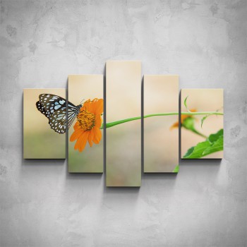 5-dílný obraz - Motýl na květu