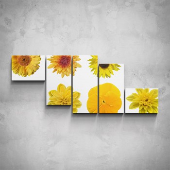 5-dílný obraz - Žluté květy