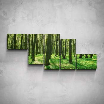 5-dílný obraz - Zelený les