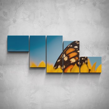 5-dílný obraz - Motýl