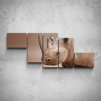 5-dílný obraz - Nosorožec