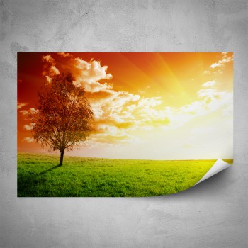 Plakát - Osamělý strom