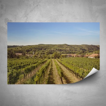 Plakát - Pohled na vinici