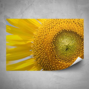 Plakát - Květina makro