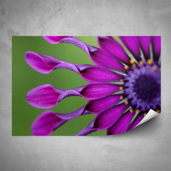 Plakát - Detail fialového květu