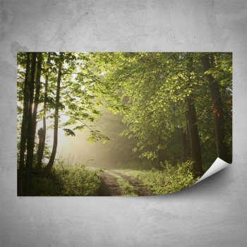 Plakát - Cesta z lesa