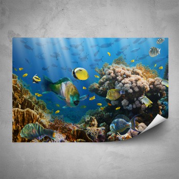 Plakát - Korálový útes