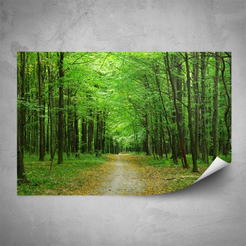 Plakát - Zelený les
