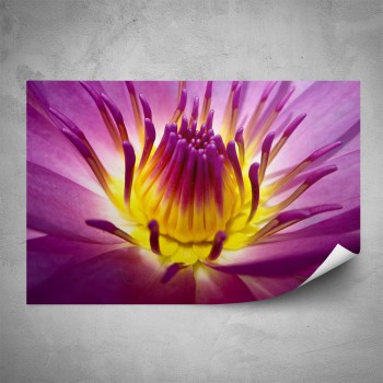 Plakát - Fialový květ makro