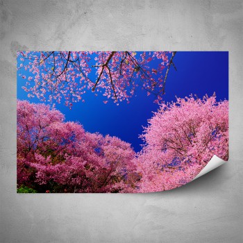Plakát - Růžové koruny stromů