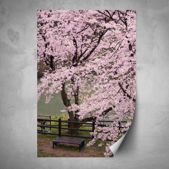 Plakát - Kvetoucí sakura