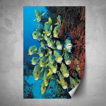 Plakát - Podmořský svět 2