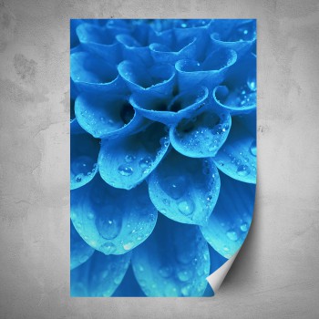 Plakát - Modrý květ makro