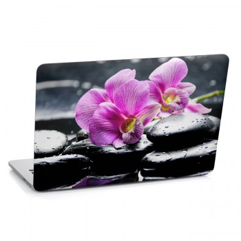 Samolepka na notebook - Orchidej na kameni