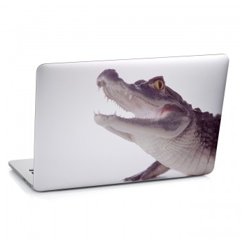 Samolepka na notebook - Krokodýl