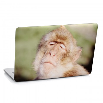 Samolepka na notebook - Opičák